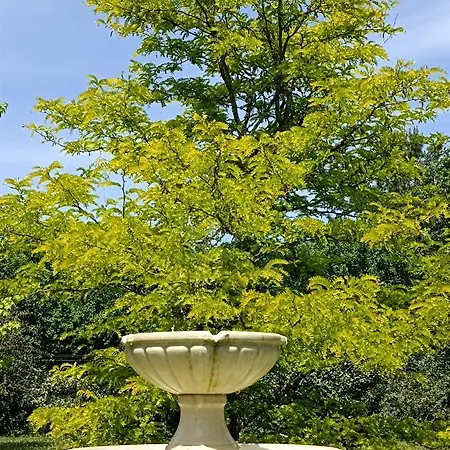 Appartement, Classe 3 Etoiles Confort, Piscine En Saison, Au Calme Pour Un Couple דירה