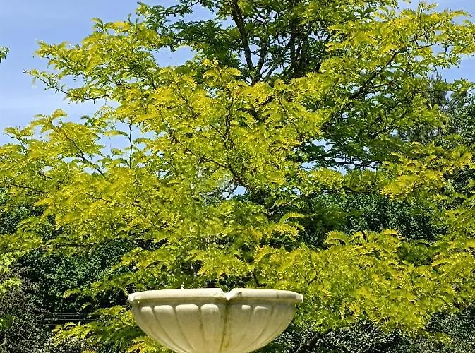 Avec Piscine, Classé 3 étoiles, De 42 M2 Confort Au Calme Pour Un Couple Appartamento